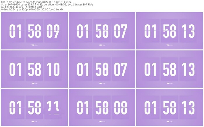 cams-ff_mur-11-16-2025-09-15-14