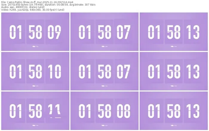 cams-ff_mur-11-16-2025-09-15-14