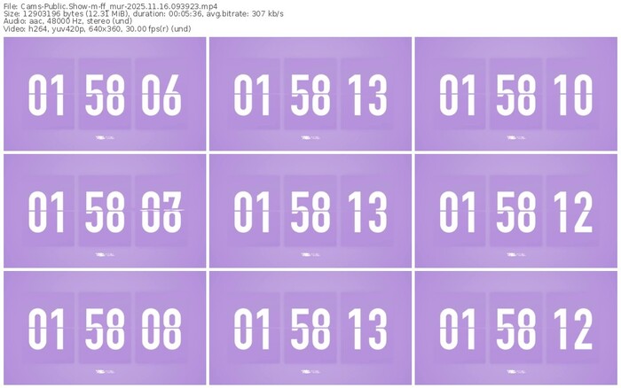 cams-ff_mur-11-16-2025-09-39-23