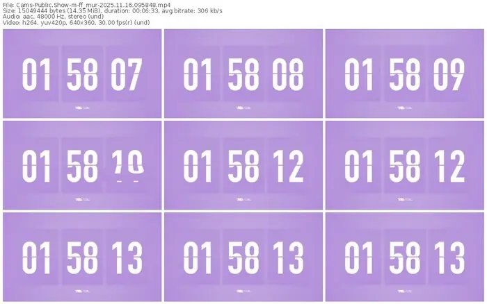 cams-ff_mur-11-16-2025-09-58-48