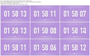 cams-ff_mur-11-16-2025-10-13-03