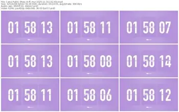 cams-ff_mur-11-16-2025-10-13-03