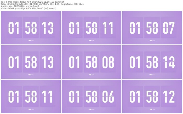 cams-ff_mur-11-16-2025-10-13-03