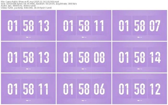 cams-ff_mur-11-16-2025-10-13-03