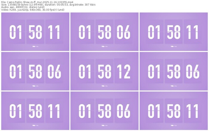 cams-ff_mur-11-16-2025-10-33-55