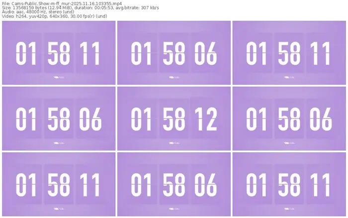 cams-ff_mur-11-16-2025-10-33-55