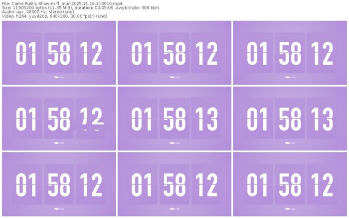 cams-ff_mur-11-16-2025-11-39-10
