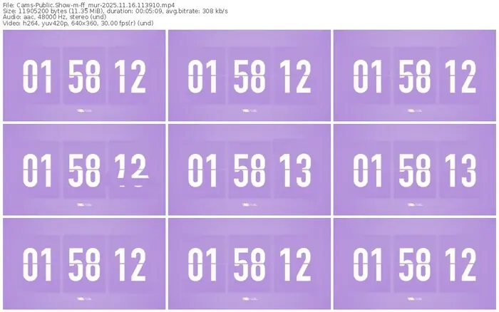 cams-ff_mur-11-16-2025-11-39-10