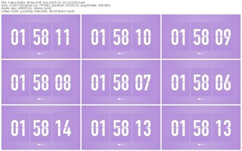 cams-ff_mur-11-16-2025-12-12-56