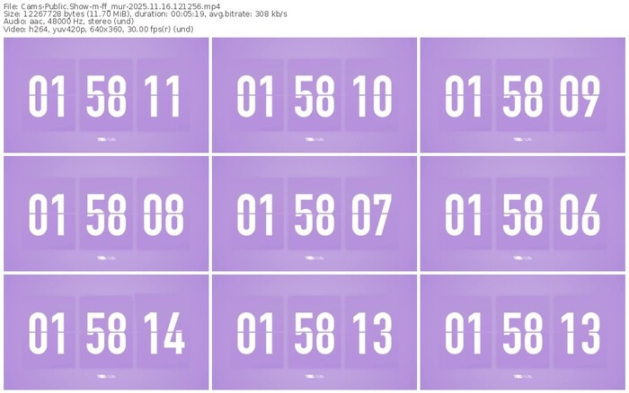 cams-ff_mur-11-16-2025-12-12-56