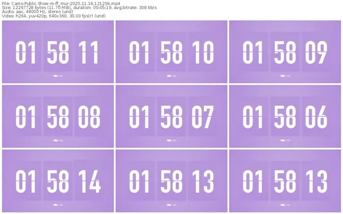 cams-ff_mur-11-16-2025-12-12-56