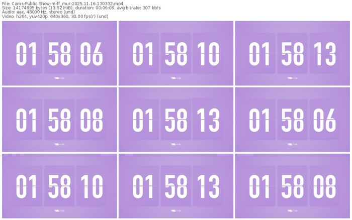 cams-ff_mur-11-16-2025-13-03-32