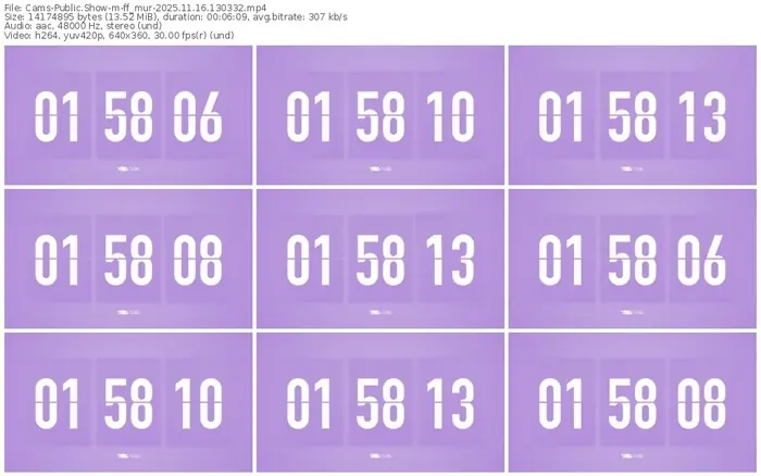 cams-ff_mur-11-16-2025-13-03-32