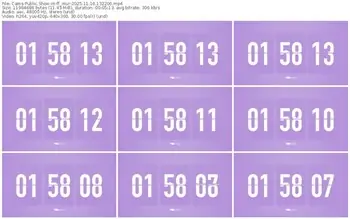 cams-ff_mur-11-16-2025-13-22-06