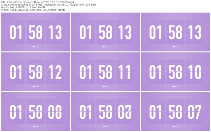 cams-ff_mur-11-16-2025-13-22-06