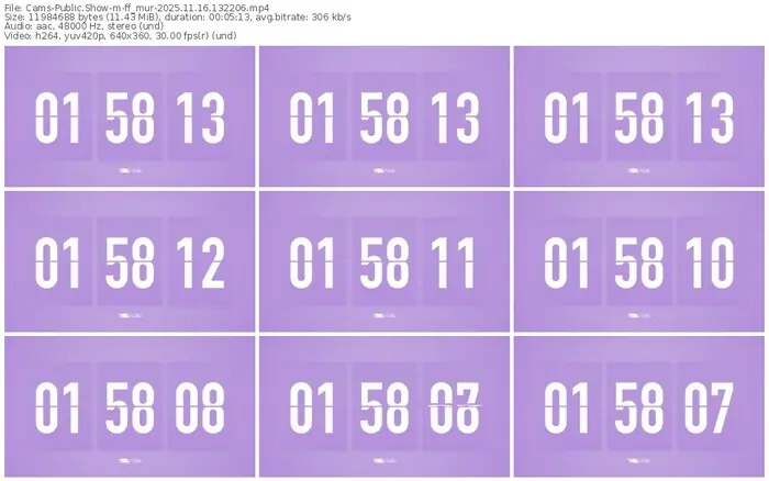 cams-ff_mur-11-16-2025-13-22-06