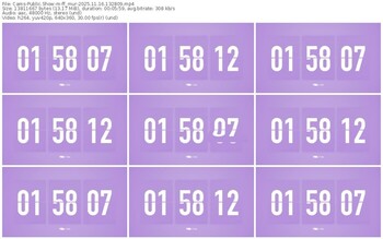 cams-ff_mur-11-16-2025-13-28-09