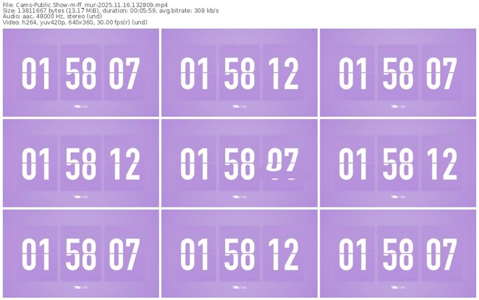 cams-ff_mur-11-16-2025-13-28-09