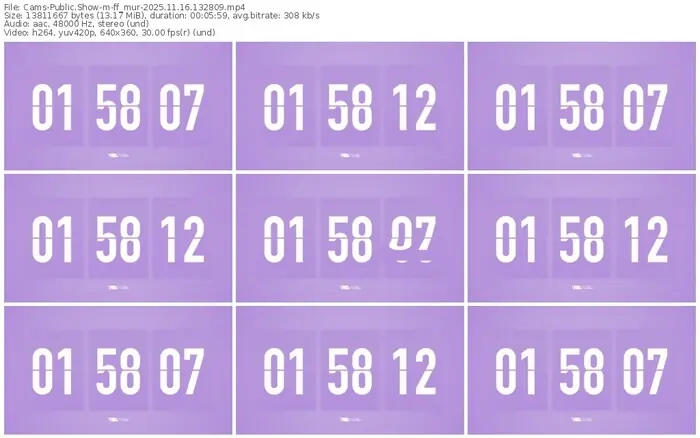 cams-ff_mur-11-16-2025-13-28-09