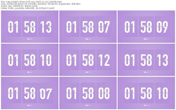 cams-ff_mur-11-16-2025-13-44-39