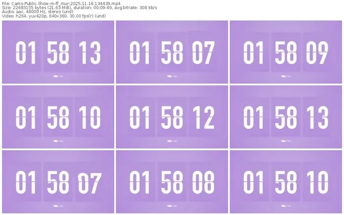 cams-ff_mur-11-16-2025-13-44-39