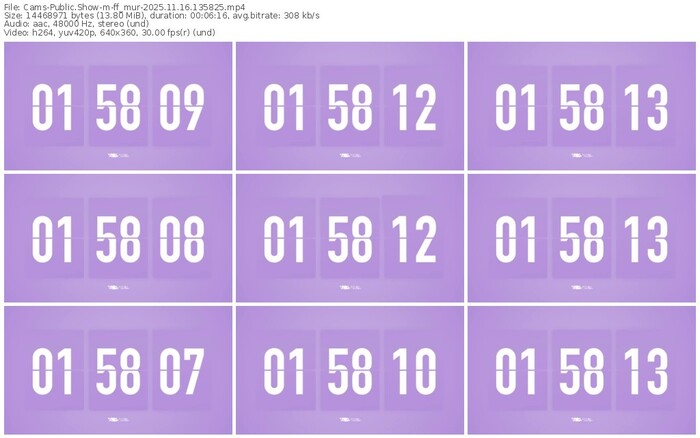 cams-ff_mur-11-16-2025-13-58-25