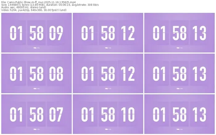 cams-ff_mur-11-16-2025-13-58-25