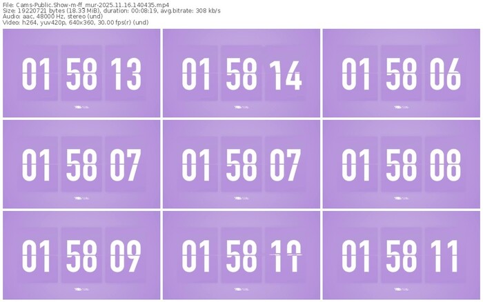 cams-ff_mur-11-16-2025-14-04-35