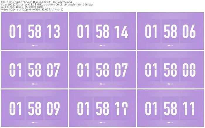 cams-ff_mur-11-16-2025-14-04-35