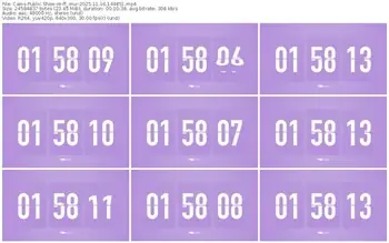 cams-ff_mur-11-16-2025-14-48-51