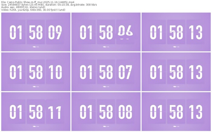 cams-ff_mur-11-16-2025-14-48-51