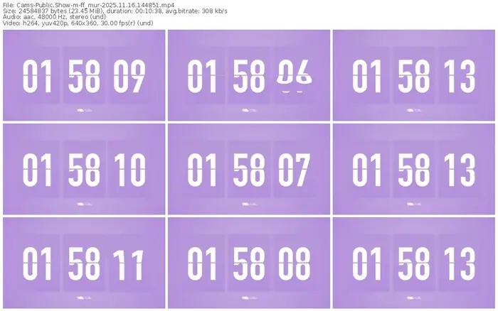 cams-ff_mur-11-16-2025-14-48-51