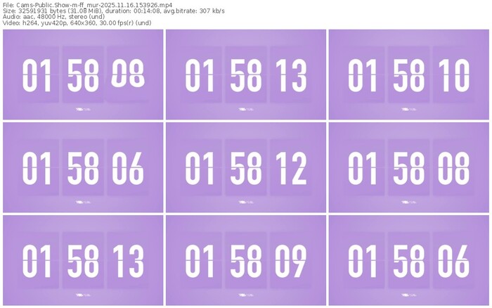 cams-ff_mur-11-16-2025-15-39-26