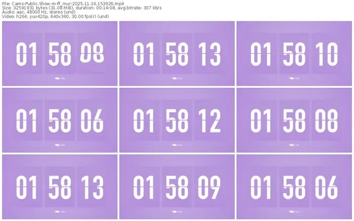 cams-ff_mur-11-16-2025-15-39-26