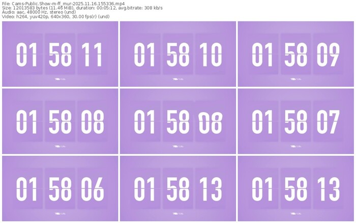 cams-ff_mur-11-16-2025-15-53-36