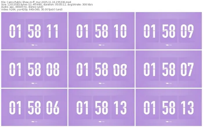 cams-ff_mur-11-16-2025-15-53-36