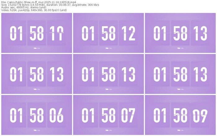 cams-ff_mur-11-16-2025-16-05-18