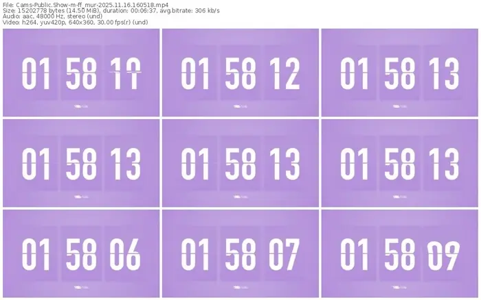 cams-ff_mur-11-16-2025-16-05-18