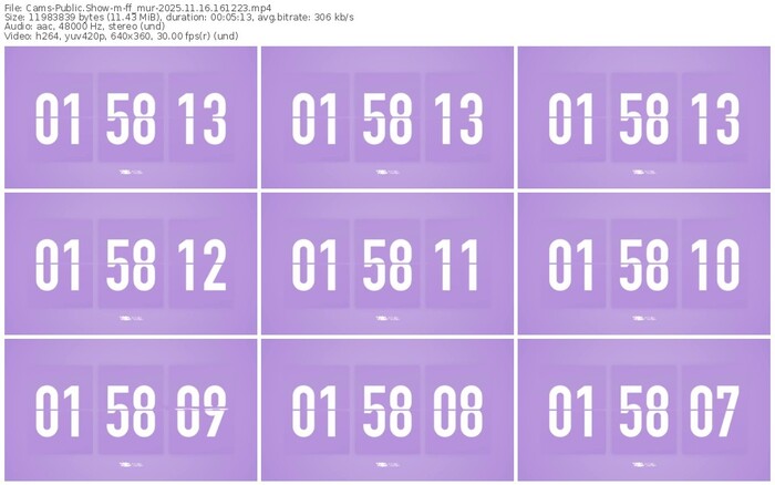 cams-ff_mur-11-16-2025-16-12-23