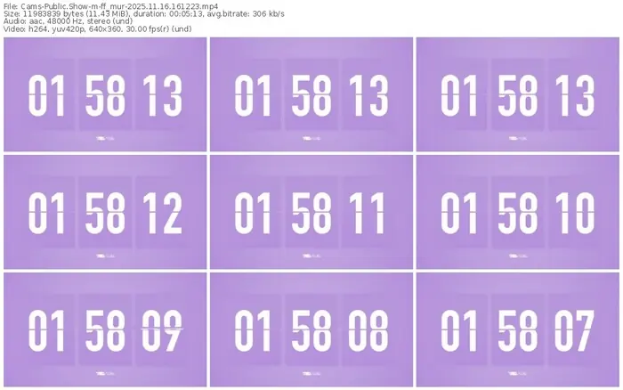 cams-ff_mur-11-16-2025-16-12-23