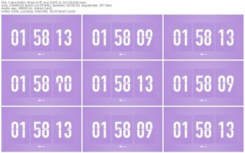 cams-ff_mur-11-16-2025-16-18-39