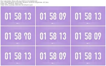 cams-ff_mur-11-16-2025-16-18-39