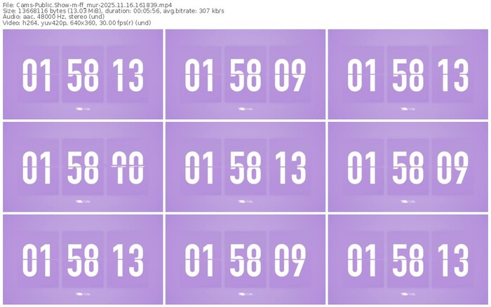 cams-ff_mur-11-16-2025-16-18-39