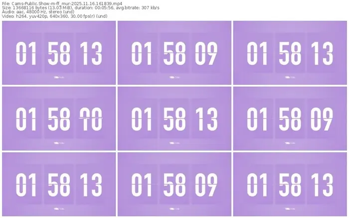 cams-ff_mur-11-16-2025-16-18-39