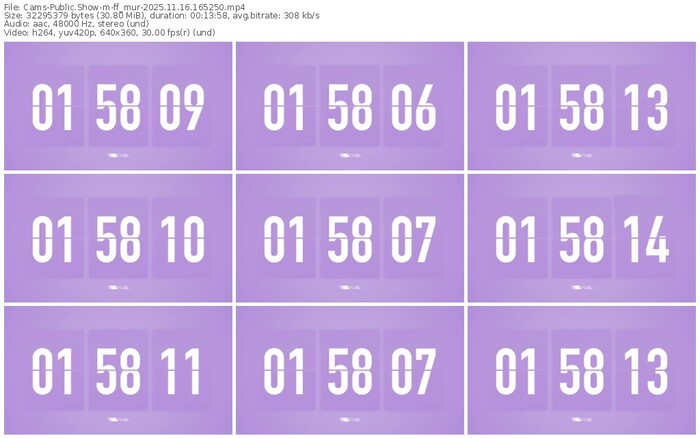 cams-ff_mur-11-16-2025-16-52-50