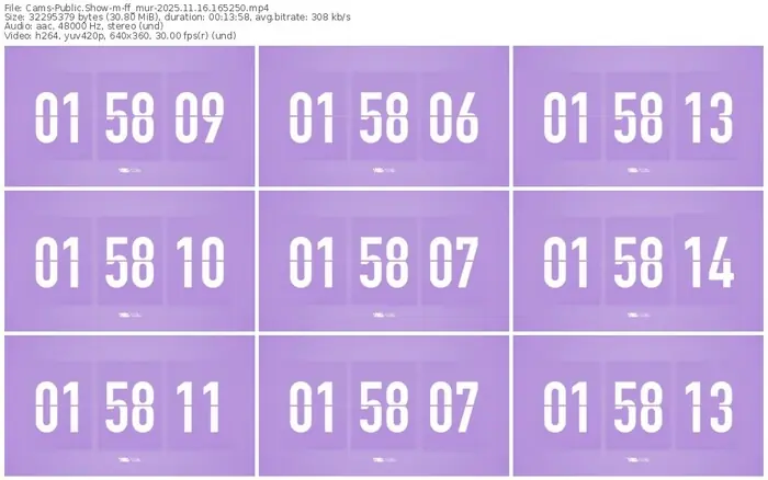 cams-ff_mur-11-16-2025-16-52-50