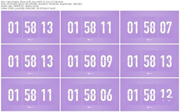 cams-ff_mur-11-16-2025-17-17-30