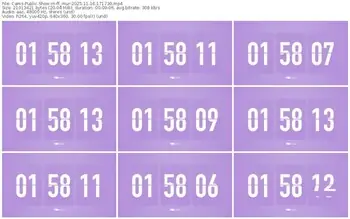 cams-ff_mur-11-16-2025-17-17-30