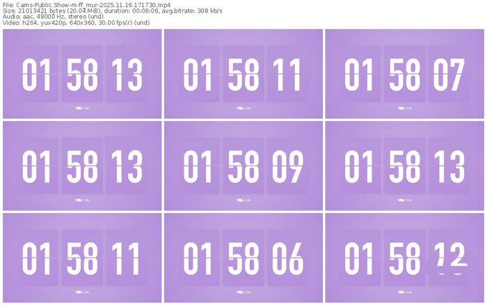 cams-ff_mur-11-16-2025-17-17-30