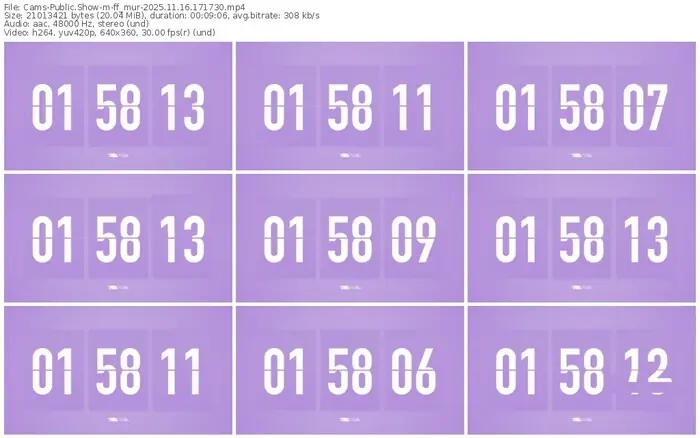 cams-ff_mur-11-16-2025-17-17-30